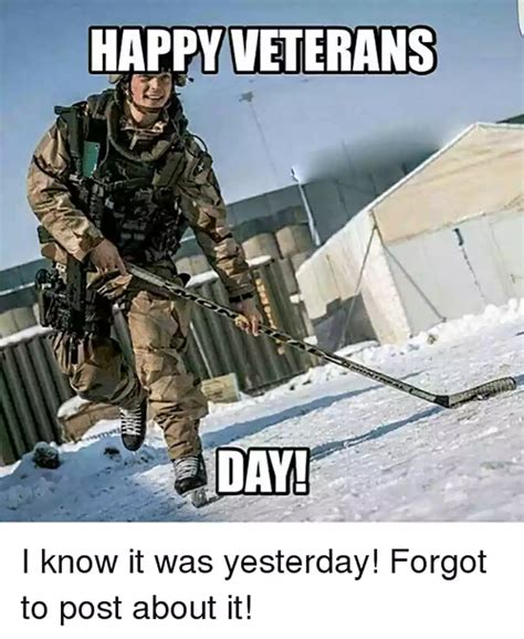 41 Super Funny Veterans Day Memes - QuotesProject.Com