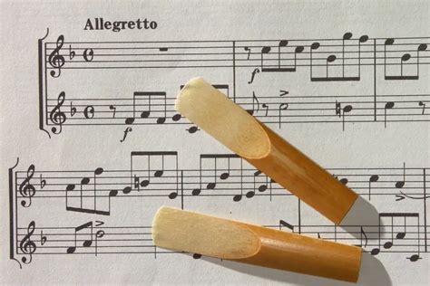 How Long Does A Clarinet Reed Last? | Groovewiz