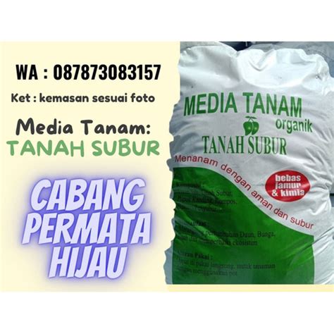 Jual Media Tanam Adenium Euphorbia Organik Tanaman Hias Bonsai Sni