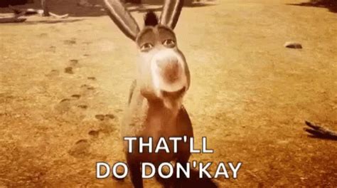 Donkey Shrek GIF - Donkey Shrek Smile - Discover & Share GIFs