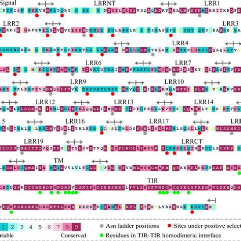 Evolutionary Conservation S Of Amino Acid Positions Displayed In The Download Scientific