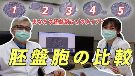 着床しやすい胚盤胞、妊娠しやすい胚盤胞について 台湾の高度不妊治療クリニックから 〜 着床前診断・卵子提供 By 大新生殖中心〜