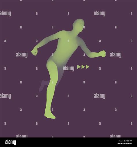 Cuerpo humano masculino Imágenes vectoriales de stock Alamy