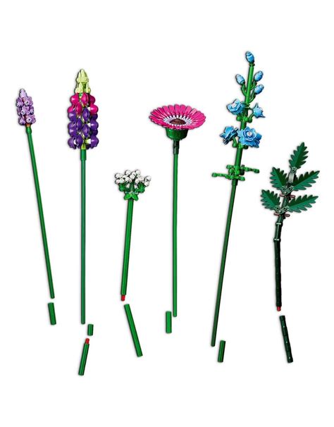 Lego 10313 Botanical Collection Wild Flower Bouquet My Tobbies Toys And Hobbies