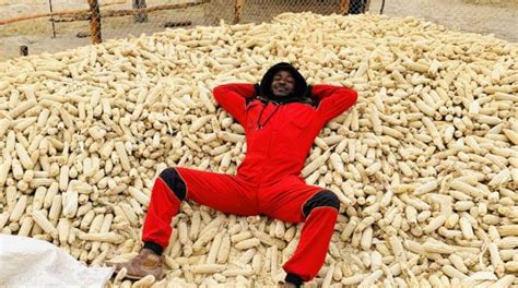 Zimbabwe To Import M Tonnes Of Maize Bulawayo News