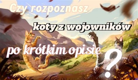 Czy Rozpoznasz Koty Z Wojownik W Po Kr Tkim Opisie Samequizy