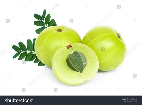 9,789 Amla Images, Stock Photos, 3D objects, & Vectors | Shutterstock