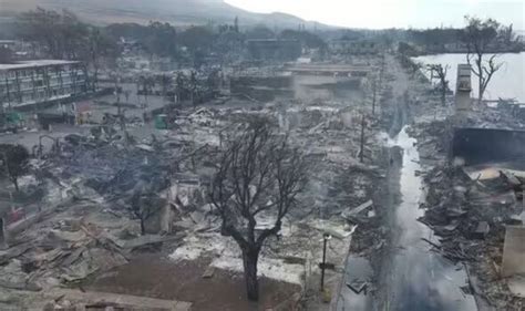 Maui: Horror video shows residents clinging to sea wall and plywood as ...