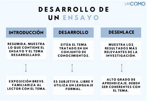 Pasos Para Realizar Un Ensayo Literario