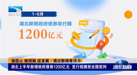 强信心 稳预期 促发展·透过数据看活力 湖北上半年新增政府债券1200亿元 发行规模居全国前列 湖北省财政厅