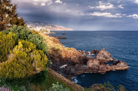 madeira kirandulas nemes tibor andras