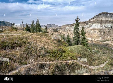 Hiking trails in the badlands of Horseshoe Canyon near Drumheller, Alberta, Canada Stock Photo ...