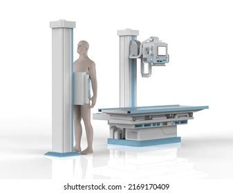 Hundred Ct Scan Model Royalty Free Images Stock Photos Pictures