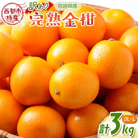 【先行予約】宮崎県西都市産 「訳あり」完熟金柑 きんかん3kg（3l～l）西都市特産品＜1 2 41＞｜西都市｜宮崎県｜返礼品をさがす｜まいふる By Aeon Card