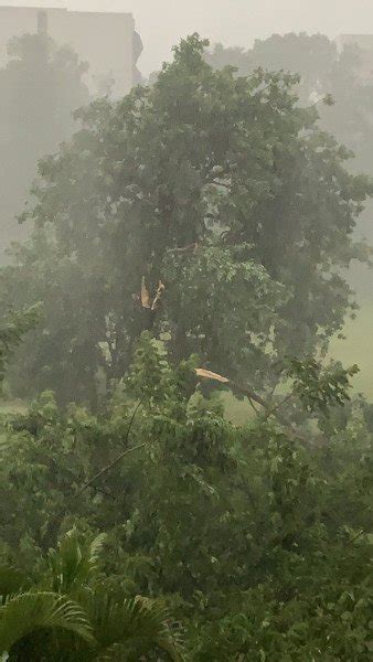 Chuva forte granizo e ventos causam estragos em várias regiões do DF