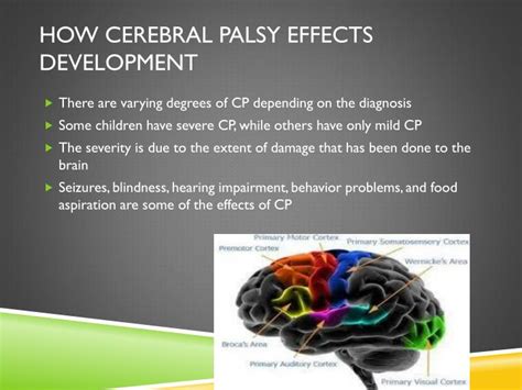 PPT Cerebral Palsy PowerPoint Presentation ID 1985358