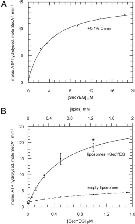 Secyeg Alleviates The Inhibition Of Seca By Magnesium The Steady