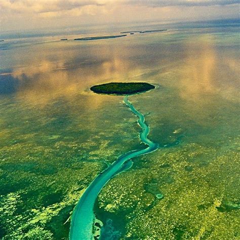 The Florida Keys National Marine Sanctuary And The Key West Wildlife R