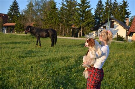 Wei E Blonde Frau H Lt Ihren Hund Und Beobachtet Einen Schwarzen Hengst Der Auf Dem Land Weidet