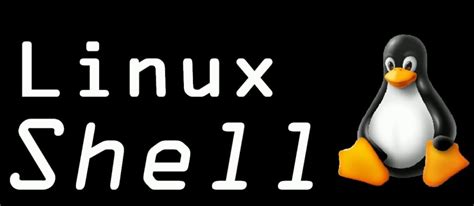 Cómo usar la Shell en Linux Lathack