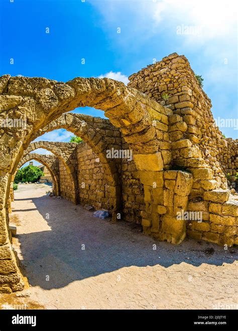 archaeological park stock photo alamy