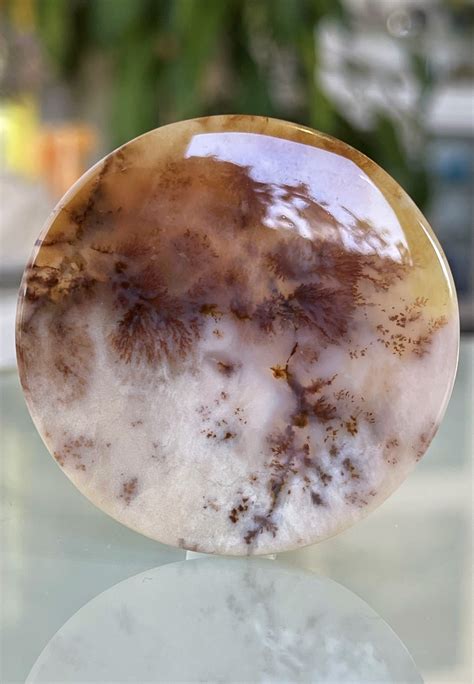 Dendriet Agaat Edelsteen Cabochon Rond Uit Rusland Groot Jalla