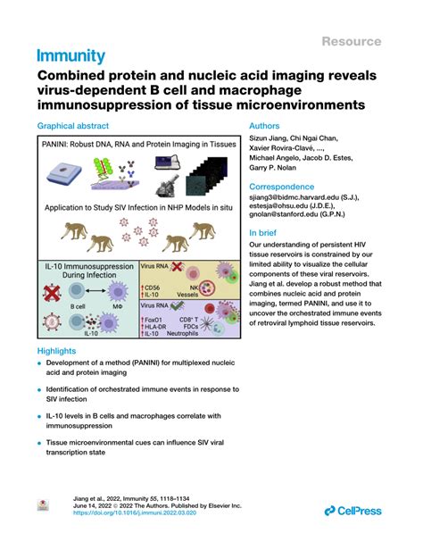 Pdf Combined Protein And Nucleic Acid Imaging Reveals Virus Dependent