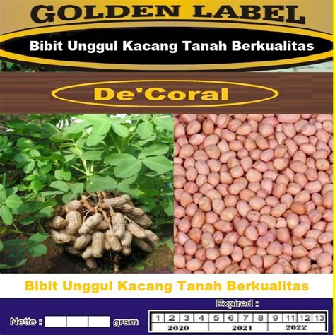 Jual Bibit Unggul Kacang Tanah Berkualitas Kemasan Derigen Benih