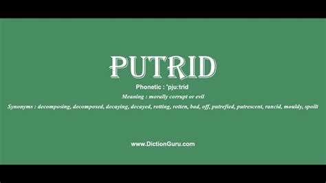 Putrid Pronounce Putrid With Meaning Phonetic Synonyms And Sentence