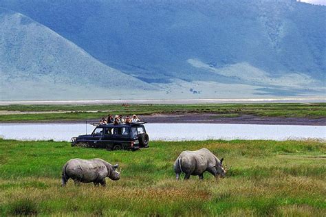 Tripadvisor 3 días se unieron al grupo Safari Ngorongoro el lago