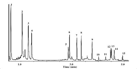 Typical Sim Gc Ms Total Ion Chromatogram Collected For A 250 Pg Download Scientific Diagram