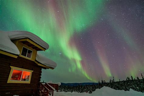 Fairbanks: Aurora Borealis Northern Lights Tour | GetYourGuide