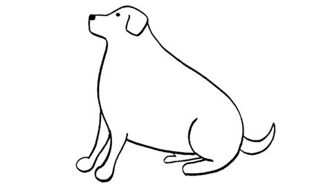 How To Draw A Labrador Retriever Dog Easy Draw Dog Easy Youtube