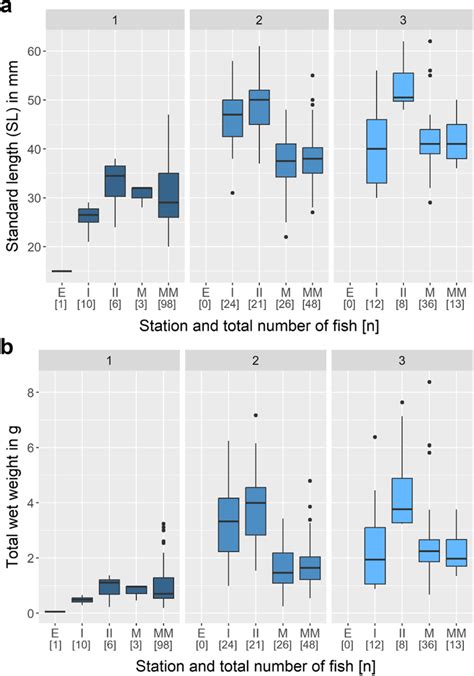 comparative overview  standard length sl  mm  total
