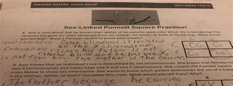 Solved Sex Linked Punnett Square Practice Sex Linked Punnett Square 1 Answer