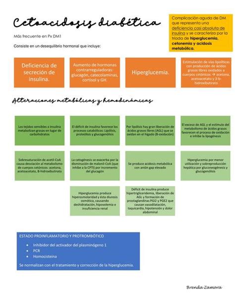 Cetoacidosis Diab Tica Bren Narvaez Udocz