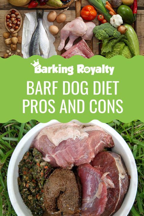 Barf Dog Diet Benefits And Risks With Images Raw Dog Food Recipes