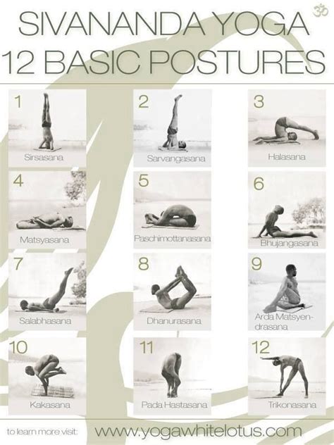 12 Basic Postures Of Hatha Yoga Yogawalls