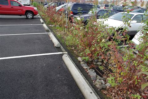 Nds Bioswale In Lowes Parking Lot North Portland Flickr