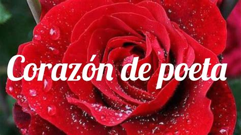 CORAZÓN DE POETA Jeanette Letra YouTube