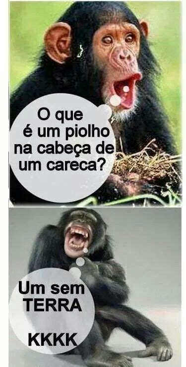 Aos Carecas Frases Engra Adas Para Whatsapp Imagens De Humor