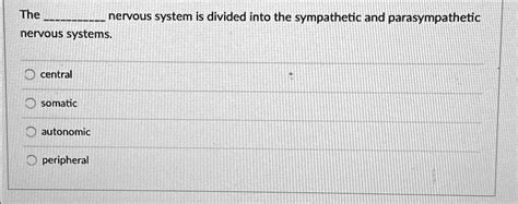 Solved The Nervous System Is Divided Into The Sympathetic And