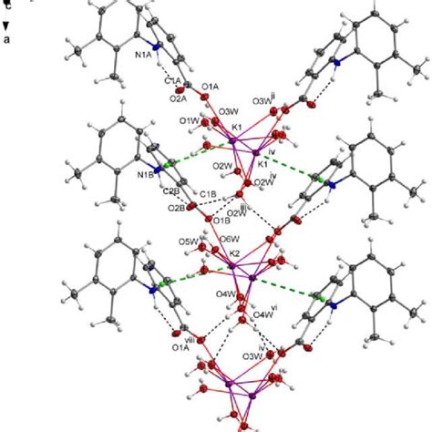 Hydrogen Bond Interactions Between Neighboring Polymeric Chains