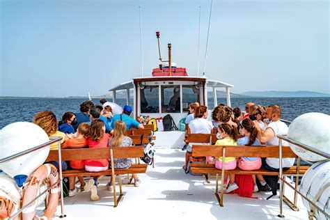 Paseo En Barco Desde Stintino A La Isla De Asinara Desde Checkyeti