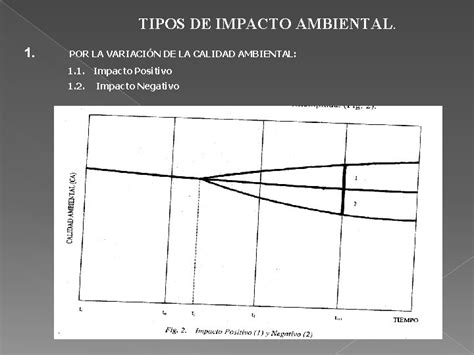 EVALUACION DEL IMPACTO AMBIENTAL MARCO CONCEPTUAL DE LOS