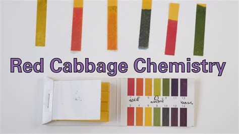 Red Cabbage Chemistry Youtube