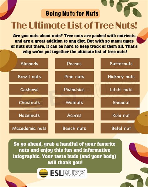 The Ultimate Guide To Nuts A List Of Tree Nuts And Their Health