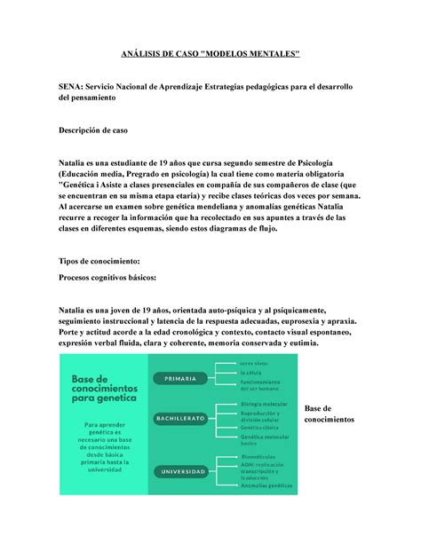 An Lisis De Caso Modelos Mentales An Lisis De Caso Modelos Mentales