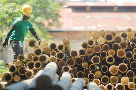 100 M Engineered Bamboo Facility To Rise In Cagayan De Oro