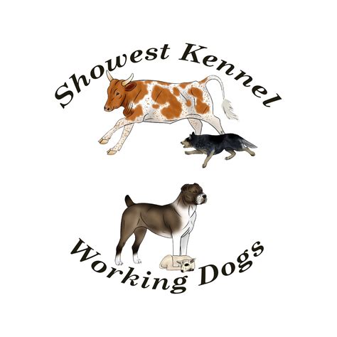 workboy kennels puppies for sale 3